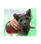 obediently is blue cat（個別スタンプ：1）