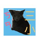 obediently is blue cat（個別スタンプ：8）