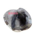 うちのべべちゃん（個別スタンプ：1）