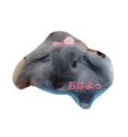 うちのべべちゃん（個別スタンプ：4）