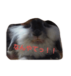 うちのべべちゃん（個別スタンプ：6）