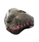 うちのべべちゃん（個別スタンプ：7）