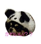 りんこれでぃぶる（個別スタンプ：3）