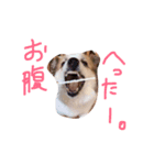 SAKURASUTANP.（個別スタンプ：4）