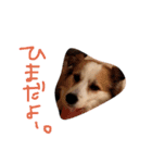 SAKURASUTANP.（個別スタンプ：7）