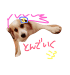 SAKURASUTANP.（個別スタンプ：8）