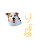SAKURASUTANP.（個別スタンプ：11）