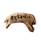 SAKURASUTANP.（個別スタンプ：18）