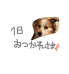 SAKURASUTANP.（個別スタンプ：22）