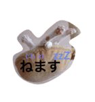 meew（個別スタンプ：3）