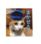 meew（個別スタンプ：7）
