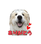 ココロちゃんの笑顔（個別スタンプ：3）
