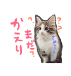 こめのスタンプ1（個別スタンプ：3）