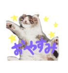 こめのスタンプ1（個別スタンプ：7）