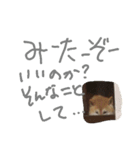 koro,s stickler（個別スタンプ：4）