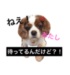 minniechan stanp1（個別スタンプ：2）