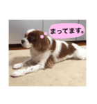 minniechan stanp1（個別スタンプ：7）