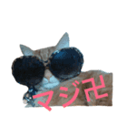 MaronSutanpu（個別スタンプ：3）