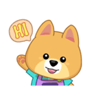 Borky shiba dog : daily set 1（個別スタンプ：1）