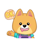 Borky shiba dog : daily set 1（個別スタンプ：3）