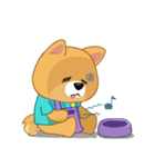 Borky shiba dog : daily set 1（個別スタンプ：16）