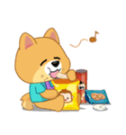 Borky shiba dog : daily set 1（個別スタンプ：17）