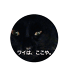 黒猫ぶぬ（個別スタンプ：2）