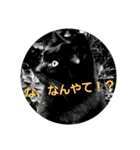黒猫ぶぬ（個別スタンプ：4）