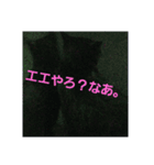 黒猫ぶぬ（個別スタンプ：5）