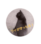 黒猫ぶぬ（個別スタンプ：7）