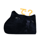 黒猫ぶぬ（個別スタンプ：10）