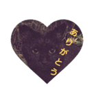黒猫ぶぬ（個別スタンプ：11）