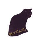 黒猫ぶぬ（個別スタンプ：12）