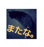 黒猫ぶぬ（個別スタンプ：14）
