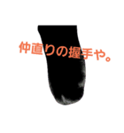 黒猫ぶぬ（個別スタンプ：15）