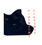 黒猫ぶぬ（個別スタンプ：16）