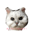 キャットライフ（個別スタンプ：22）