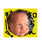Bun bun sticker vol.1（個別スタンプ：4）
