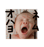 Bun bun sticker vol.1（個別スタンプ：8）