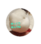 文鳥達スタンプ（個別スタンプ：9）