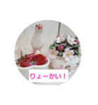 文鳥達スタンプ（個別スタンプ：13）