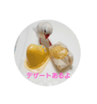 文鳥達スタンプ（個別スタンプ：21）