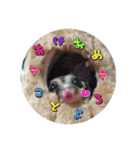 こーら（個別スタンプ：5）
