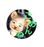 日常的な奴ら..（個別スタンプ：15）