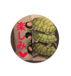 日常的な奴ら..（個別スタンプ：29）