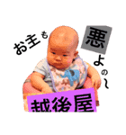 マイペースしょうき君の癒しスタンプ（個別スタンプ：5）