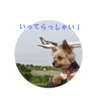 Rin's stamps（個別スタンプ：3）