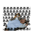 むすこかわい（個別スタンプ：1）