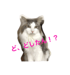 くーたん2（個別スタンプ：3）
