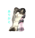 くーたん2（個別スタンプ：5）